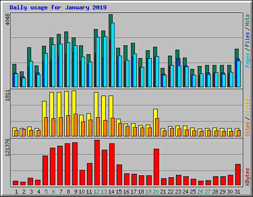 Daily usage for January 2019