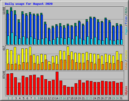 Daily usage for August 2020