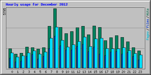 Hourly usage for December 2012