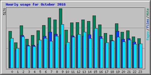Hourly usage for October 2016