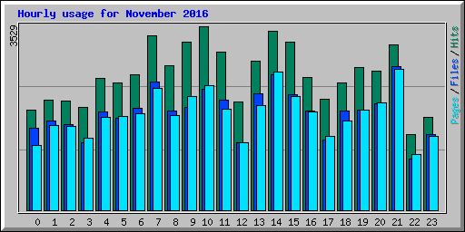 Hourly usage for November 2016