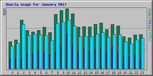 Hourly usage for January 2017