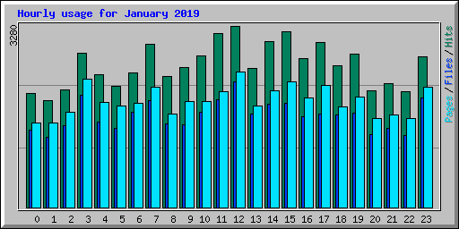 Hourly usage for January 2019