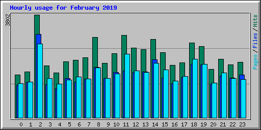 Hourly usage for February 2019