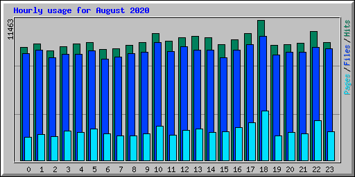 Hourly usage for August 2020