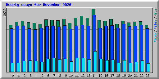 Hourly usage for November 2020
